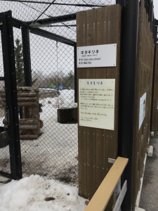 Hokkaido-1703-063