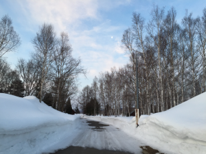 Hokkaido-1703-163