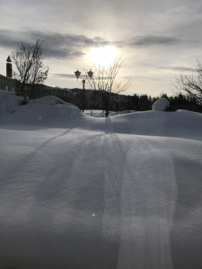 Hokkaido-1703-202