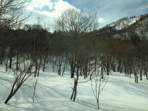 Hokkaido-1703-208