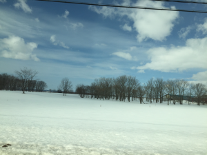 Hokkaido-1703-219