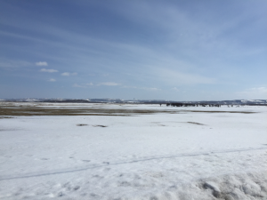 Hokkaido-1703-232