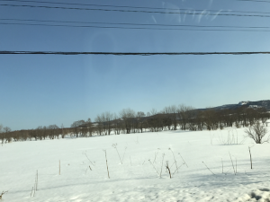 Hokkaido-1703-456