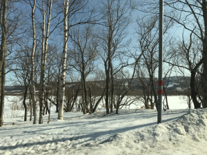 Hokkaido-1703-457