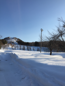 Hokkaido-1703-501