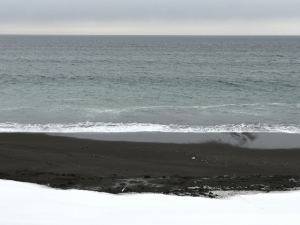 Hokkaido-1703-556