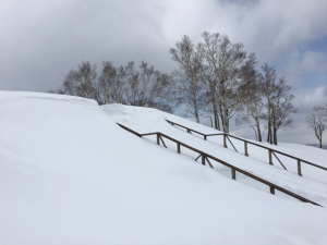 Hokkaido-1703-873