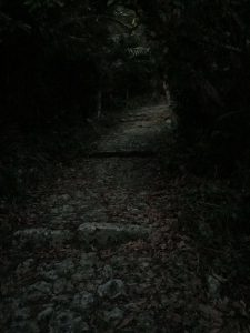 Okinawa171122 - (5) Sueyoshi Park - 19