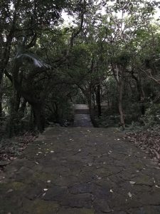 Okinawa171122 - (5) Sueyoshi Park - 2