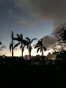 Okinawa171122 - (5) Sueyoshi Park - 20