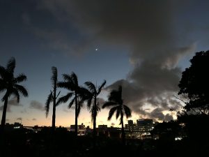 Okinawa171122 - (5) Sueyoshi Park - 21