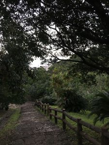 Okinawa171122 - (5) Sueyoshi Park - 3