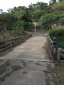 Okinawa171122 - (5) Sueyoshi Park - 4