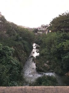 Okinawa171122 - (5) Sueyoshi Park - 7