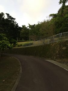 Okinawa171122 - (5) Sueyoshi Park - 8