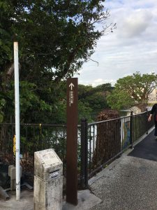 Okinawa171123 - (03) Ryutan - 1