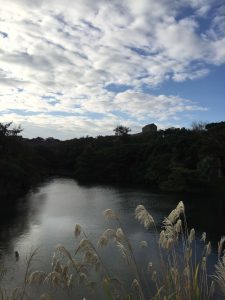 Okinawa171123 - (03) Ryutan - 19