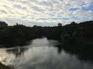 Okinawa171123 - (03) Ryutan - 21