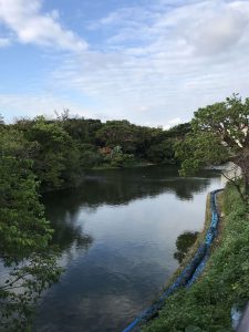 Okinawa171123 - (03) Ryutan - 5