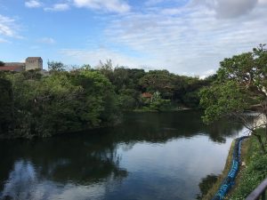 Okinawa171123 - (03) Ryutan - 6