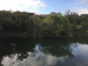 Okinawa171123 - (03) Ryutan - 9
