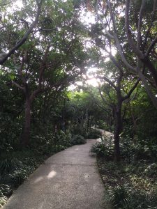 Okinawa171123 - (04) Shuri Castle - 34