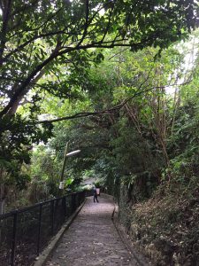 Okinawa171123 - (05) Shurikinjocho - 11