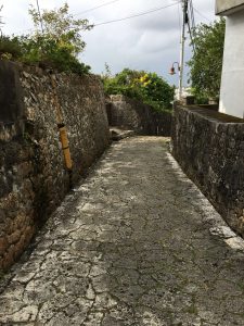 Okinawa171123 - (05) Shurikinjocho - 19
