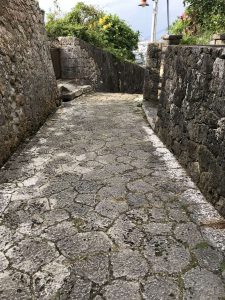 Okinawa171123 - (05) Shurikinjocho - 21