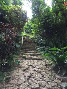 Okinawa171123 - (05) Shurikinjocho - 56