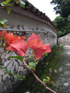 Okinawa171123 - (05) Shurikinjocho - 70