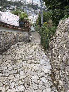 Okinawa171123 - (05) Shurikinjocho - 71
