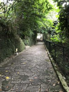 Okinawa171123 - (05) Shurikinjocho - 74