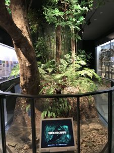 Okinawa171123 - (09) Museum - 1
