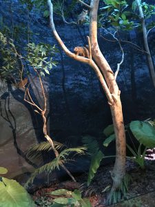 Okinawa171123 - (09) Museum - 2