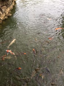 Okinawa171123 - (11) Naha Fukushuen - 118