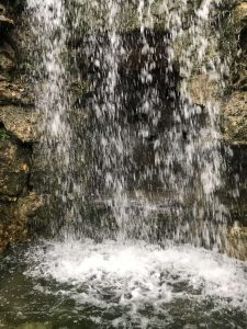 Okinawa171123 - (11) Naha Fukushuen - 48