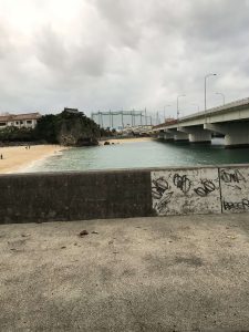 Okinawa171123 - (13) Naminouegu - 1