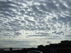 Okinawa171124 - (2) Way to Kyoda Road Station - 1