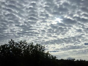 Okinawa171124 - (2) Way to Kyoda Road Station - 11