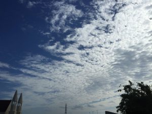 Okinawa171124 - (2) Way to Kyoda Road Station - 14