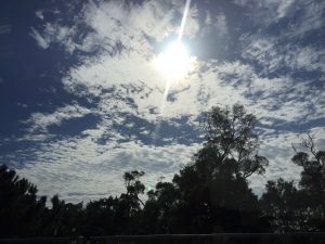 Okinawa171124 - (2) Way to Kyoda Road Station - 20