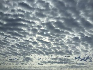 Okinawa171124 - (2) Way to Kyoda Road Station - 3