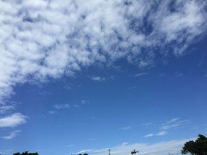 Okinawa171124 - (2) Way to Kyoda Road Station - 5