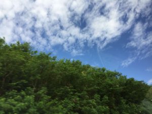 Okinawa171124 - (2) Way to Kyoda Road Station - 6