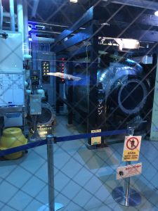 Okinawa171124 - (4) Churaumi Aquarium - 121