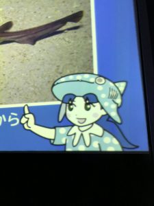 Okinawa171124 - (4) Churaumi Aquarium - 123