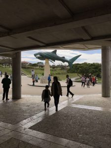 Okinawa171124 - (4) Churaumi Aquarium - 16