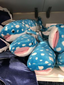 Okinawa171124 - (4) Churaumi Aquarium - 188