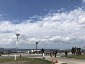 Okinawa171124 - (4) Churaumi Aquarium - 233